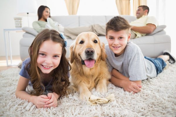 Controlling Allergy Symptoms Caused by Pets