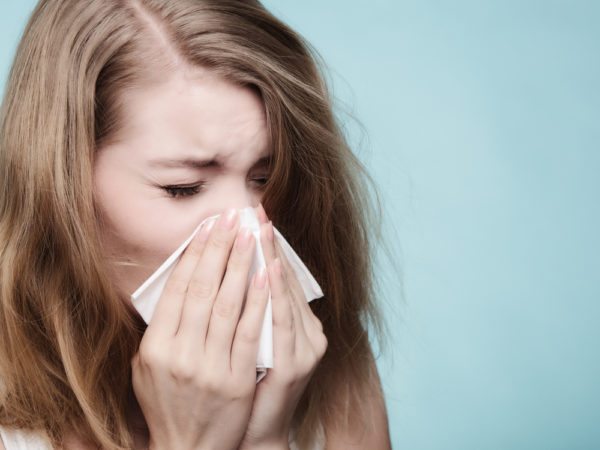 3 Common Indoor Allergens