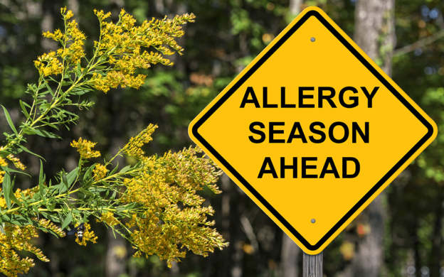 Allergy Season Ahead | Indoor Air Quality | Allergy | Allergies | Allergens
