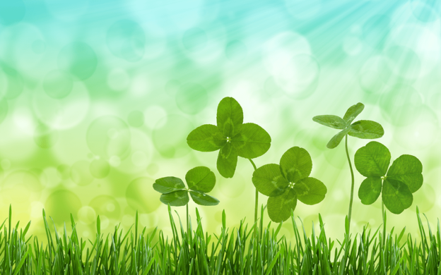 Spring four leaf clovers | Hvac maintenance plan | Keith Air Conditioning